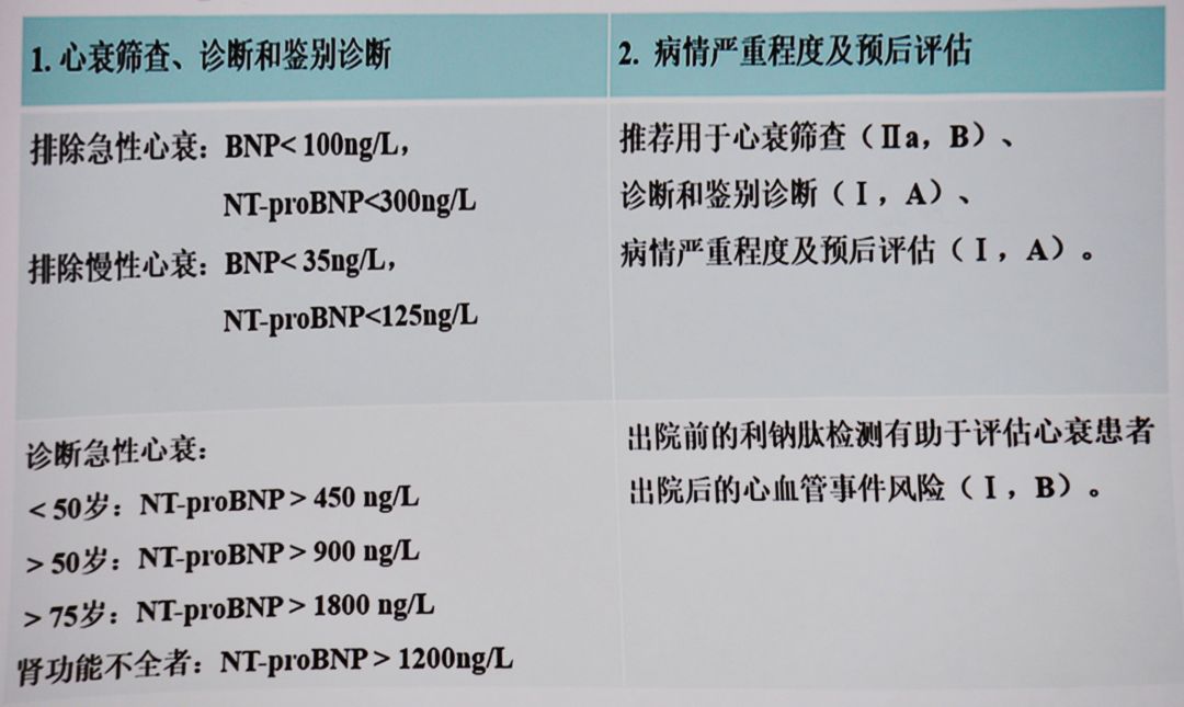 遵义医科大学附属医院心内科石蓓,遵义医学院心血管内科专家石蓓