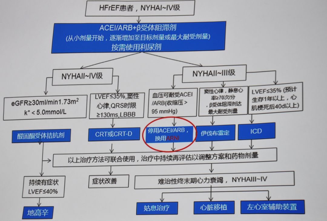 遵义医科大学附属医院心内科石蓓,遵义医学院心血管内科专家石蓓