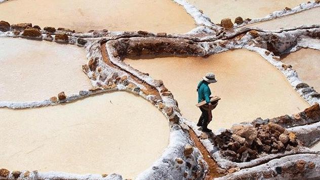 瀹堟姢鑷劧搴曠墖濂宠,瀹堟姢鑷劧璁板繂搴曟枡