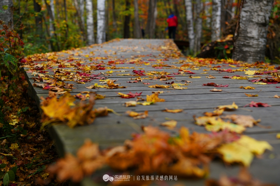 落英缤纷指的是哪个季节,落英缤纷是美景吗