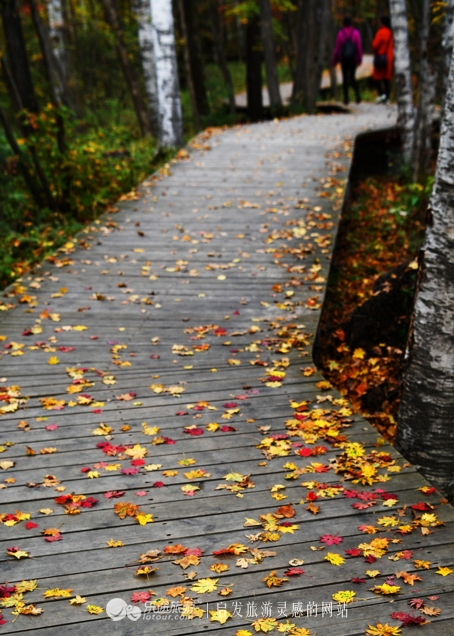 落英缤纷指的是哪个季节,落英缤纷是美景吗