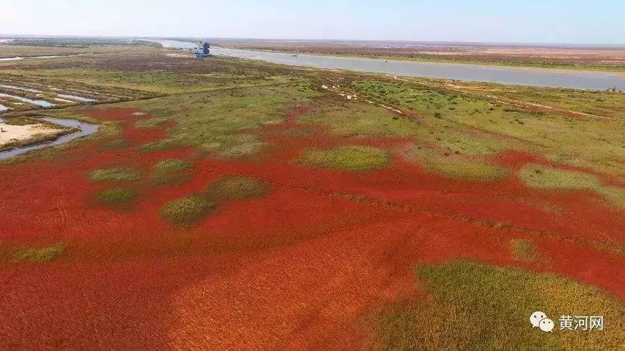 黄河大合唱人民日报,大河奔涌长风浩荡人民日报