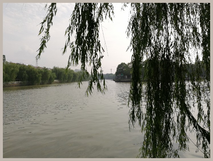 第一天打窝没口第二天还要打窝吗,第一天打窝第二天钓