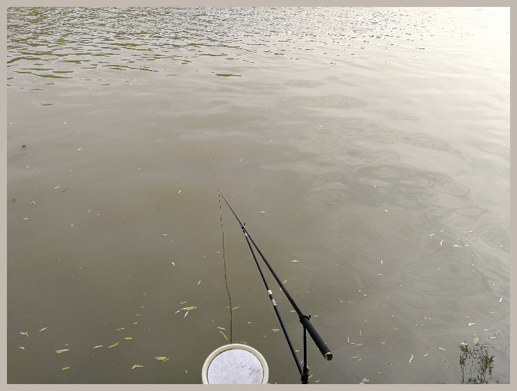 第一天打窝没口第二天还要打窝吗,第一天打窝第二天钓