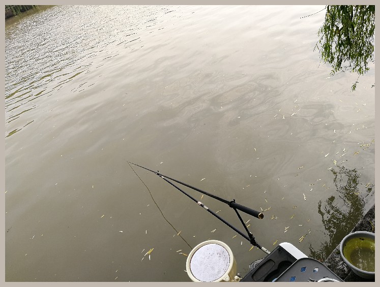 第一天打窝没口第二天还要打窝吗,第一天打窝第二天钓