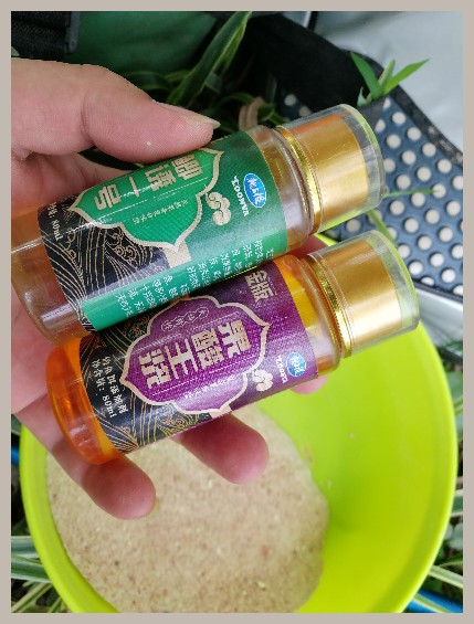 第一天打窝没口第二天还要打窝吗,第一天打窝第二天钓