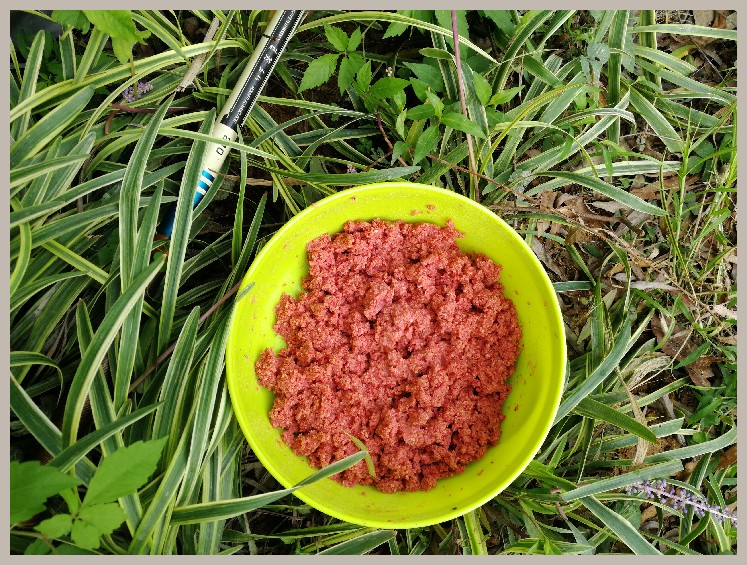 第一天打窝没口第二天还要打窝吗,第一天打窝第二天钓