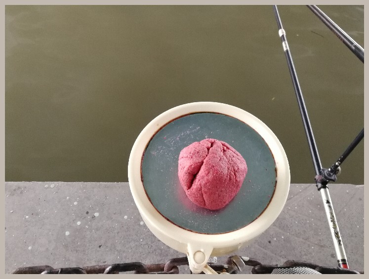 第一天打窝没口第二天还要打窝吗,第一天打窝第二天钓