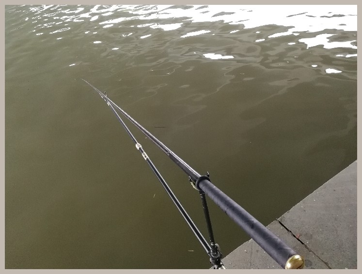 第一天打窝没口第二天还要打窝吗,第一天打窝第二天钓