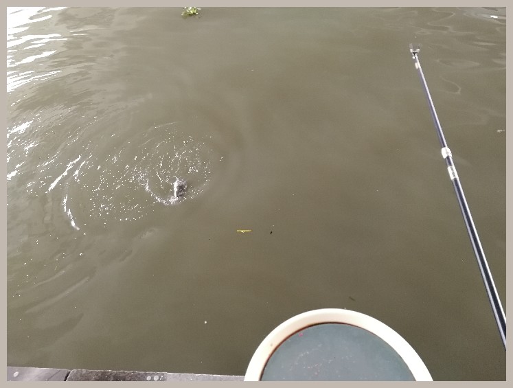 第一天打窝没口第二天还要打窝吗,第一天打窝第二天钓