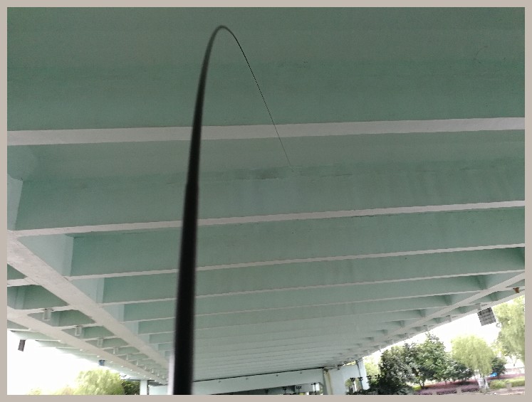 第一天打窝没口第二天还要打窝吗,第一天打窝第二天钓