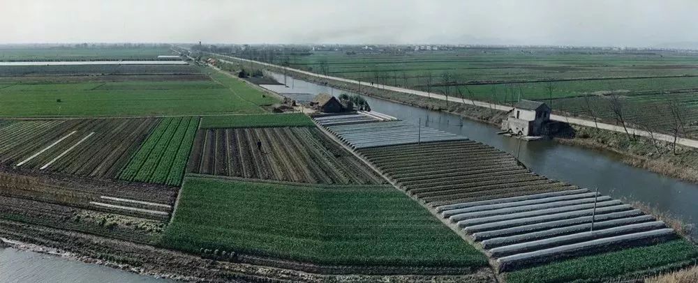 1993年国务院批准设立杭州经济技术开发区，下沙“火”了！