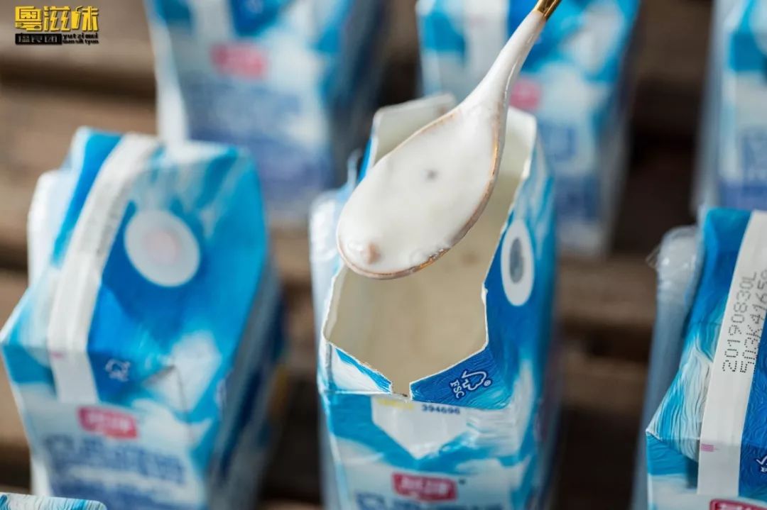 抢占“鲜”机!这个广东人爱了63年的燕塘牛奶,终于要登陆澳门了