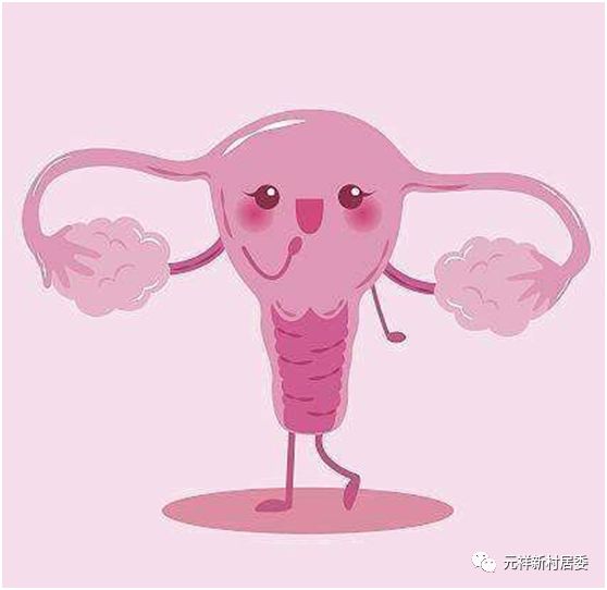 宫内节育器放置步骤,宫内节育器动画演示