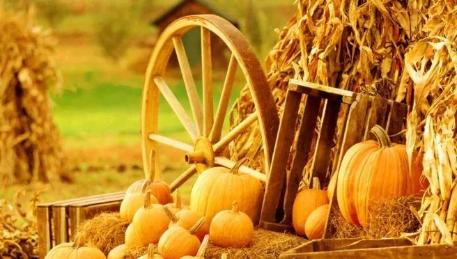 直播预告│明天上午！店前镇第五届农*运民**动会暨首届边贸地方文化节开幕