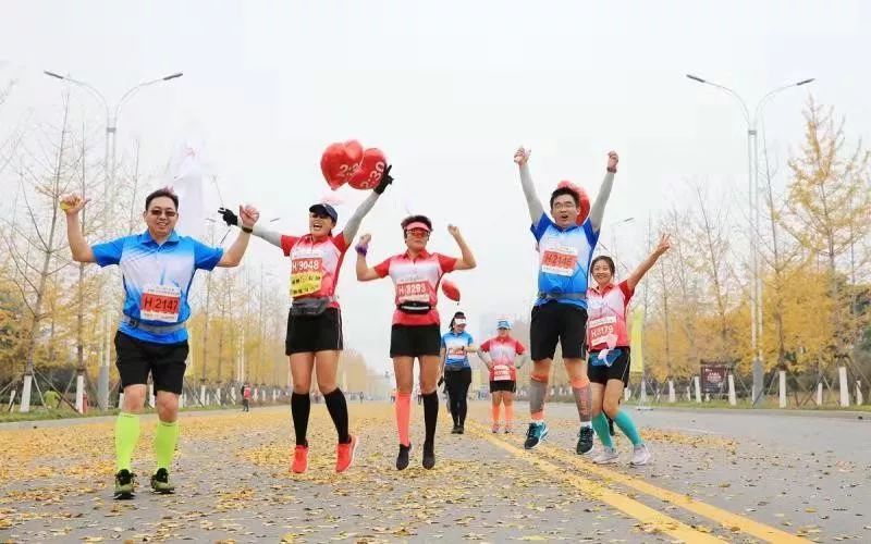 邳州银杏天下第一,邳州赏银杏树叶