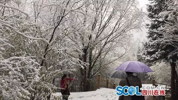 九寨沟开放官网,九寨沟门票10点到14点入园