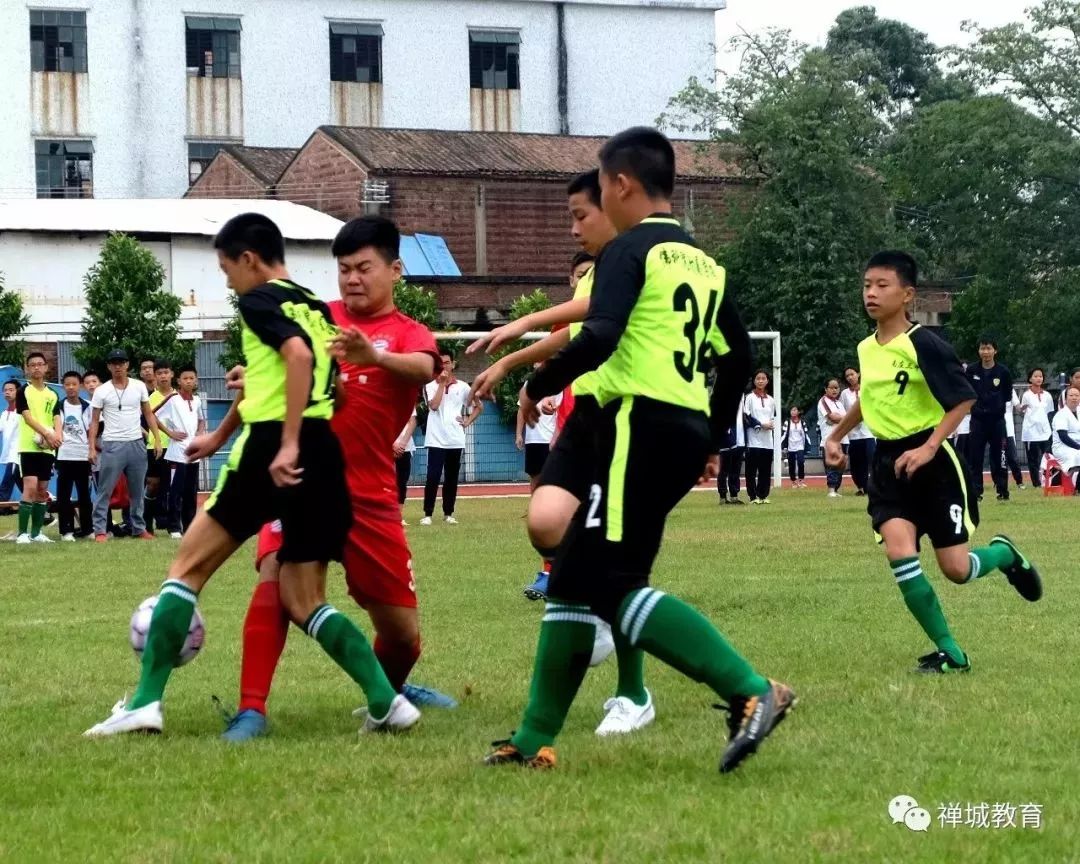 热点名牌大学,佛山南庄上元名校在哪里