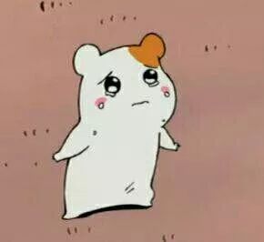 拍照赚钱的真实经历,22岁女孩拍照片一年赚2万