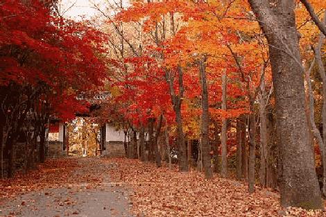 自驾游12个人住民宿,住200左右民宿3天1500左右