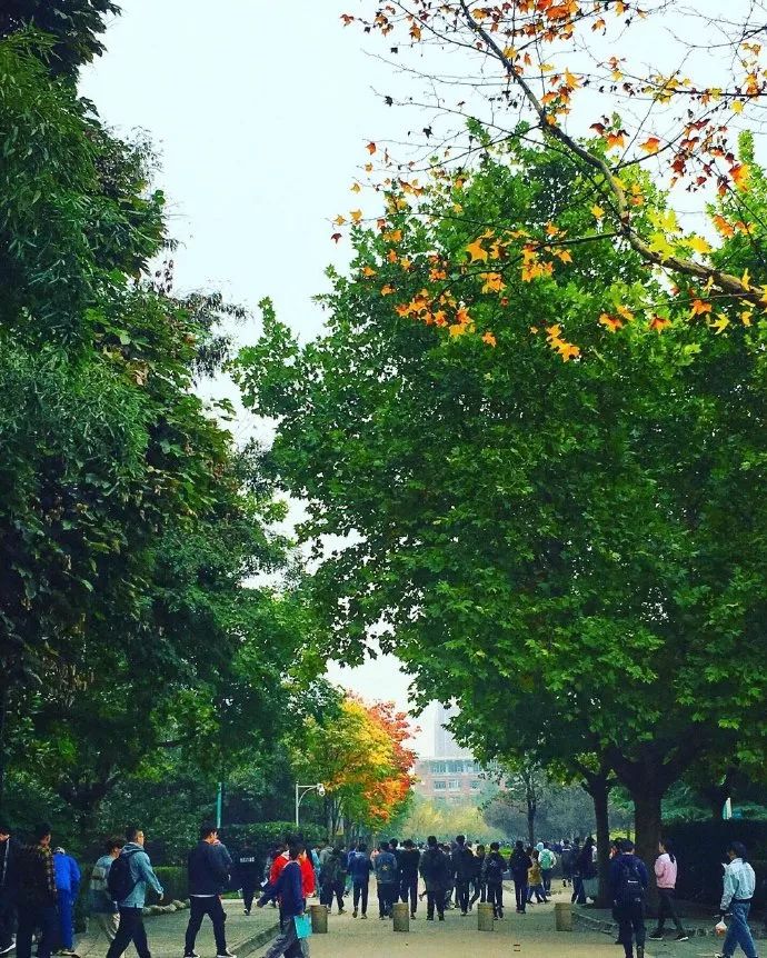 一束光一扇窗户,一扇门透着一束光