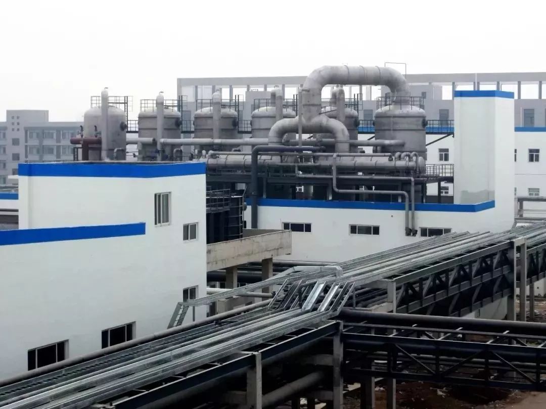 保定天鹅何以能展翅高飞?转型升级给出答案