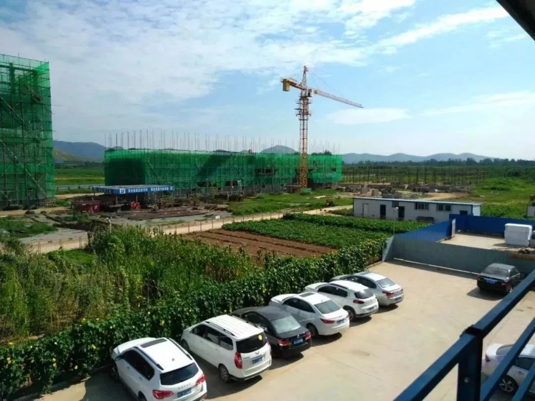 保定天鹅何以能展翅高飞?转型升级给出答案