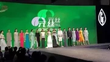 保定天鹅何以能展翅高飞?转型升级给出答案