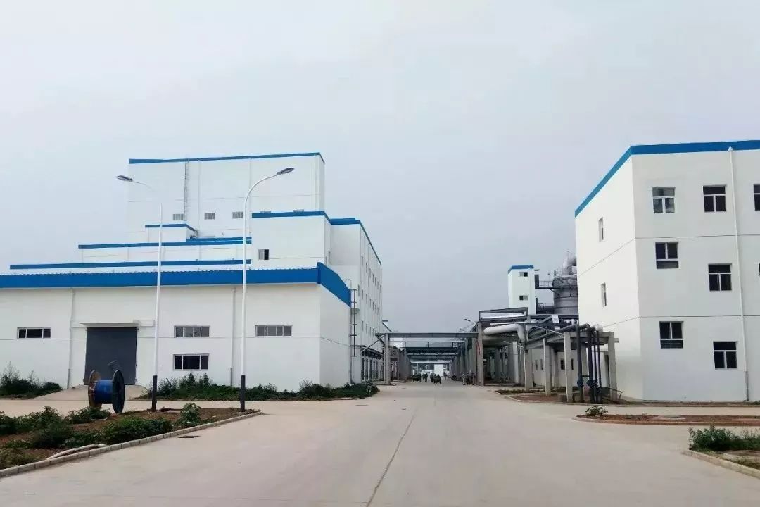 保定天鹅何以能展翅高飞?转型升级给出答案