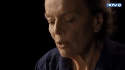 nasa工程师折纸,nasa工程师折纸蚂蚁