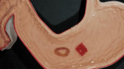 nasa工程师折纸,nasa工程师折纸蚂蚁