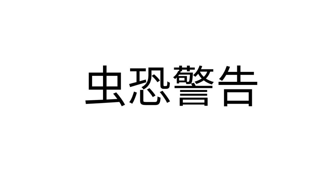 nasa工程师折纸,nasa工程师折纸蚂蚁