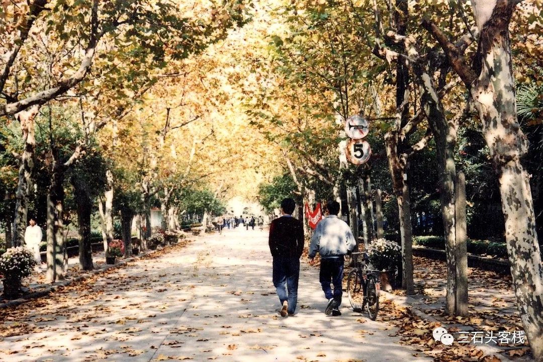 华政,往事并不如烟