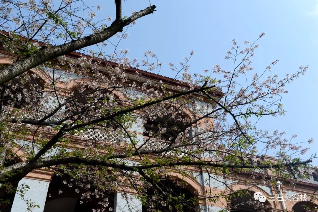 华政,往事并不如烟