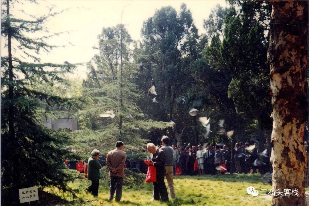 华政,往事并不如烟