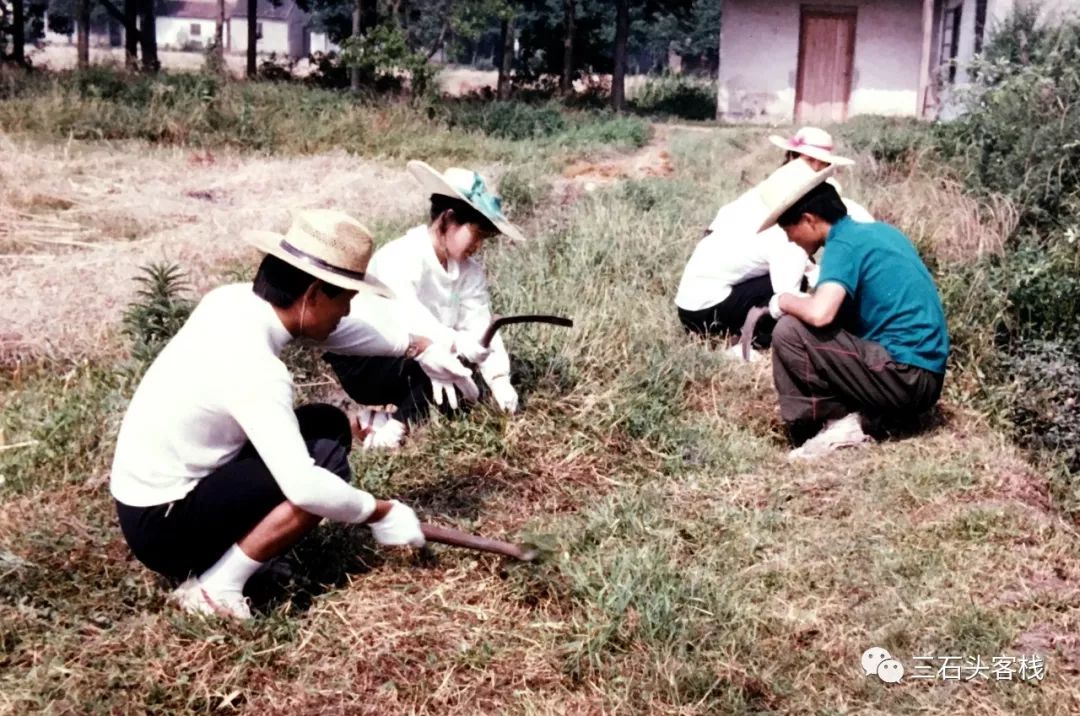 华政,往事并不如烟