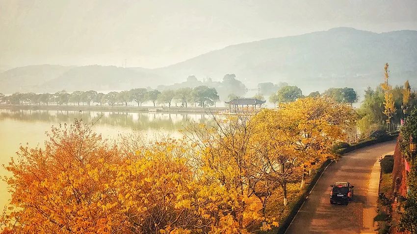 浙江哪里的橘子很有名,浙江最好的橘子