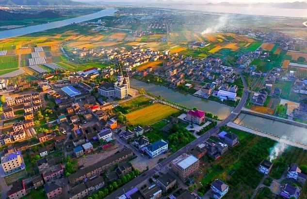 浙江哪里的橘子很有名,浙江最好的橘子