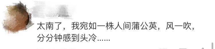 一根头发价值,一根头发值一万