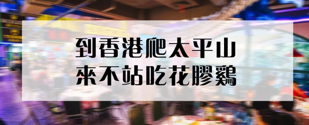 剪影时光，有人真的把老香港的模样嫁接到成都