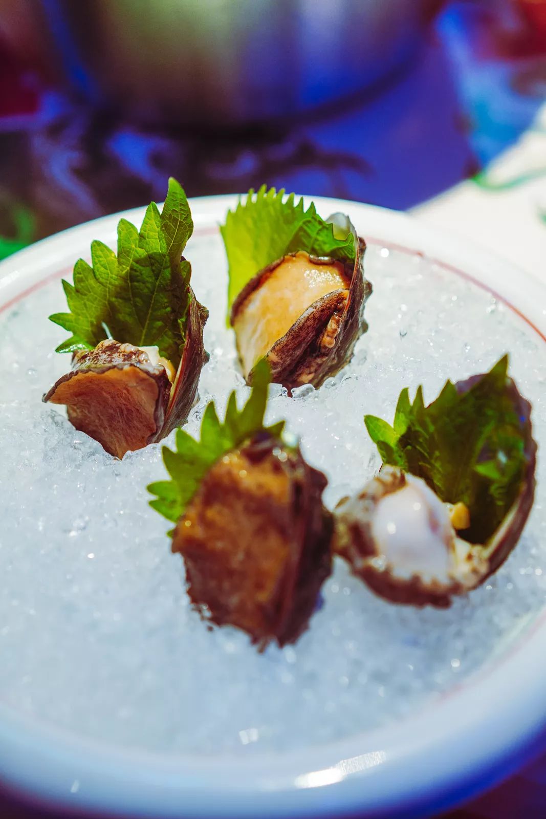 剪影时光，有人真的把老香港的模样嫁接到成都