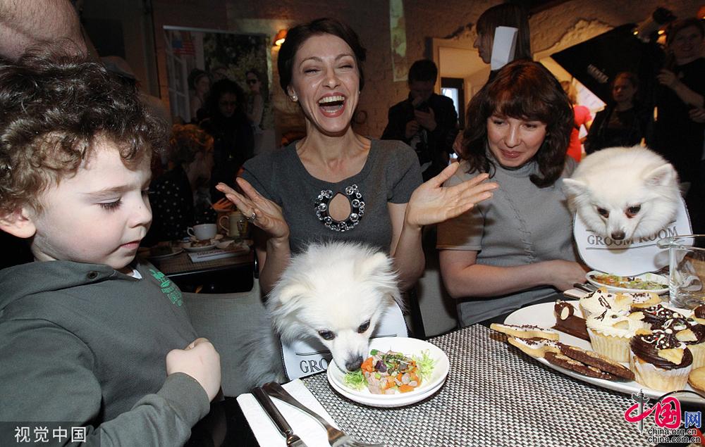 生活不易被迫营业看萌宠如何为自己“赚”口粮