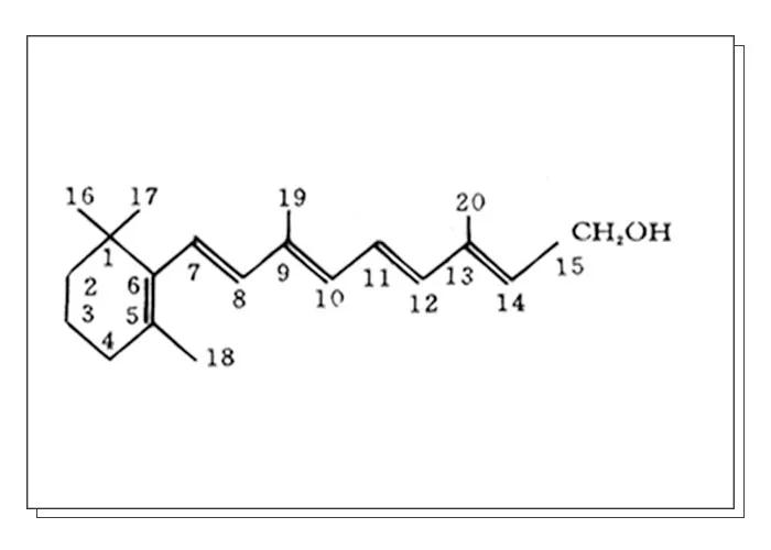 瑞酱长草日记怎么样,瑞酱种草日记完整版
