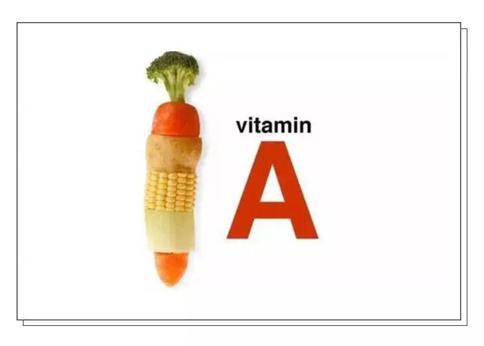 瑞酱长草日记怎么样,瑞酱种草日记完整版