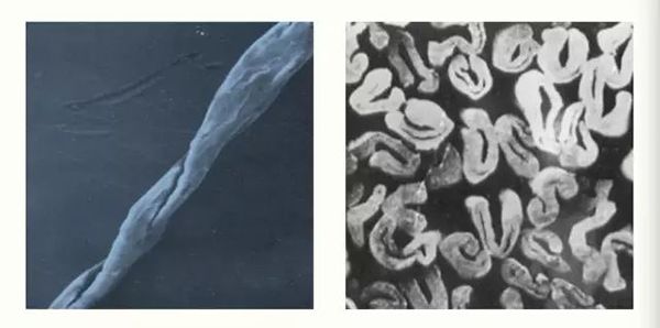冷空气来了气温骤降注意加衣保暖,冷空气来了大家多穿衣服保暖