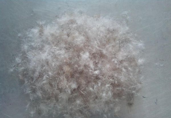 冷空气来了气温骤降注意加衣保暖,冷空气来了大家多穿衣服保暖