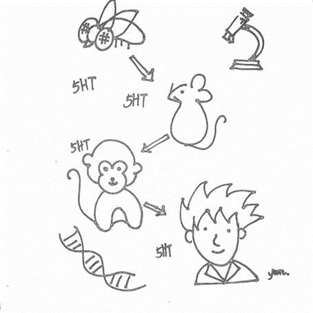 睡不好真的会变笨,睡太多觉真的会变傻吗