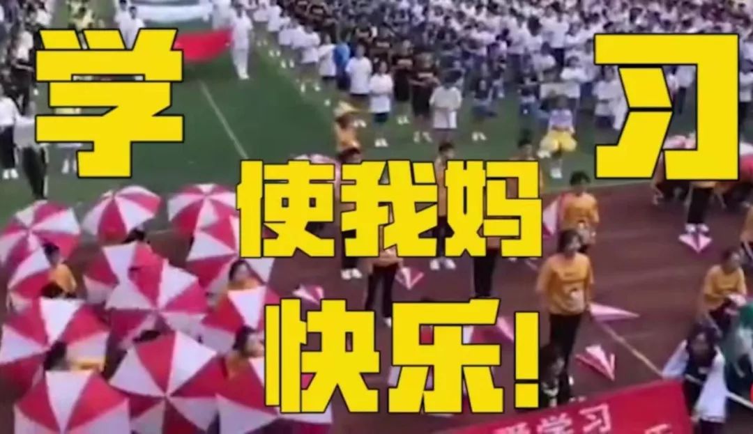 “学习使我妈快乐”,运动会标语还能再皮点?|沸话