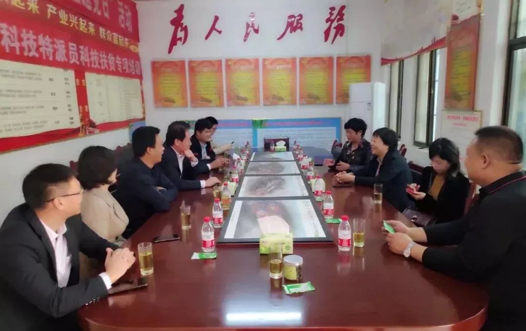 河南封丘贫困县,国家级贫困县2019封丘