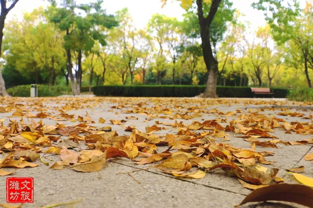 钟灵毓秀的优美词句,钟灵毓秀文章